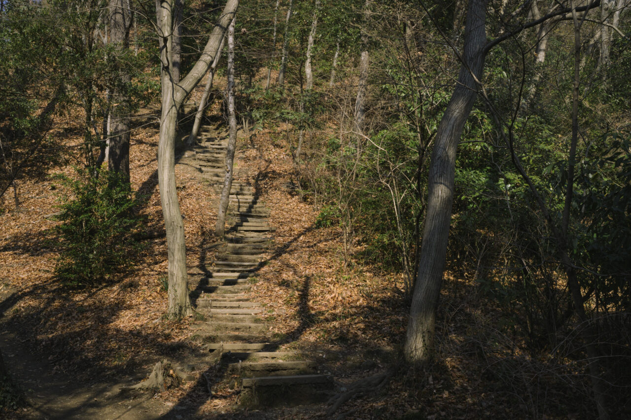 木枯らしの階段