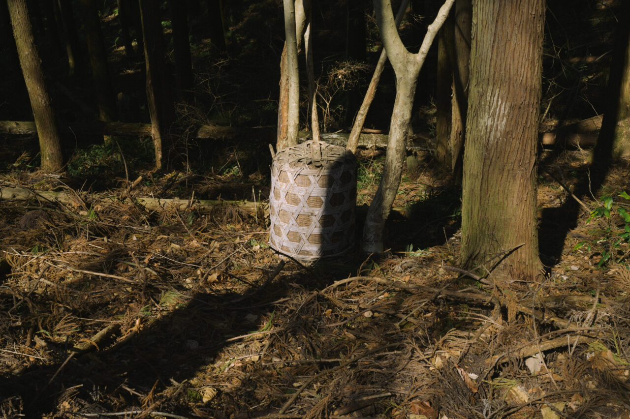 籠目の模様が特徴的なカゴ