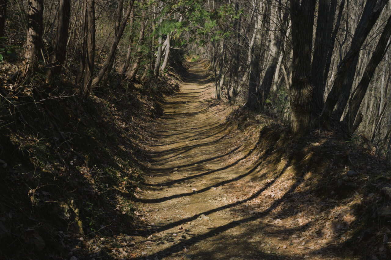 雑木林に通された登山道