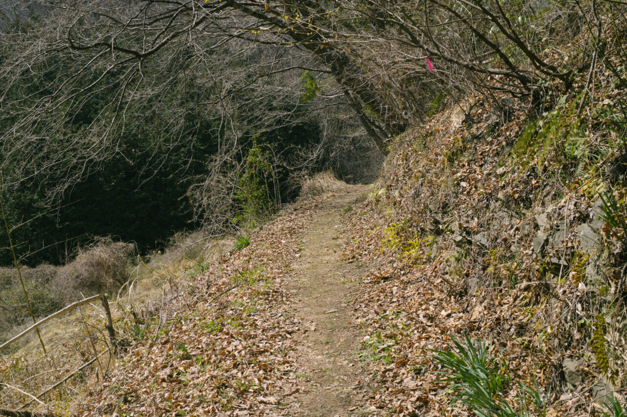 畑わきの登山道
