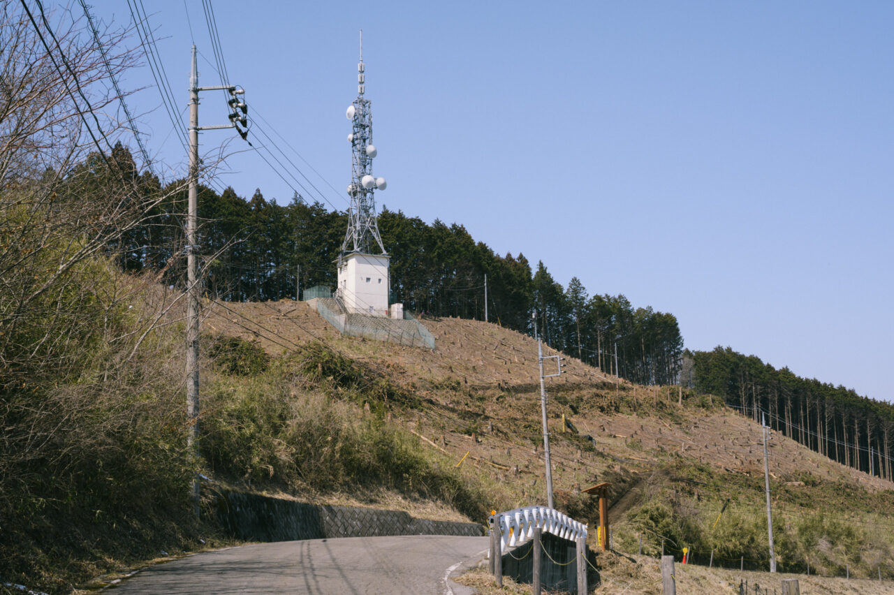 陣見山を見上げる