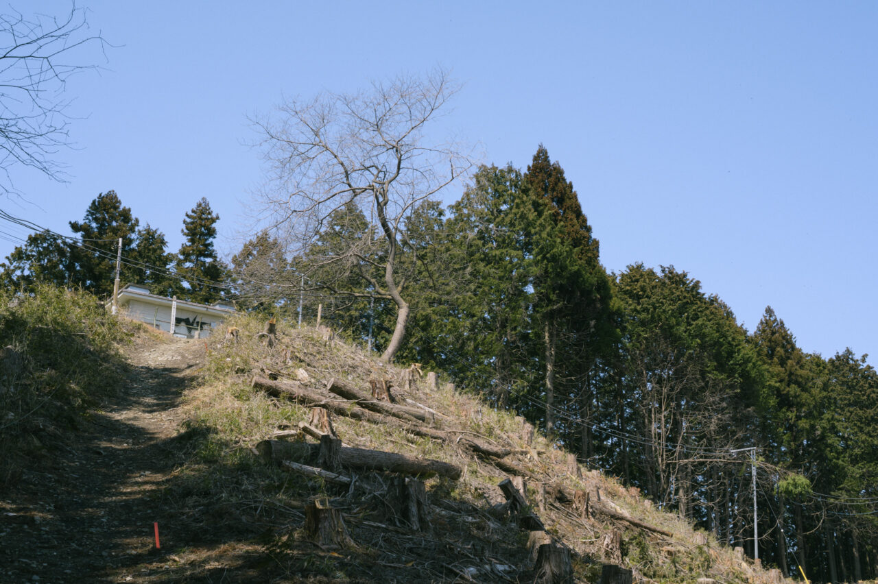 陣見山の山頂へ