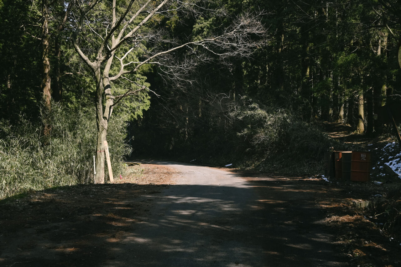 林道と登山道の交錯地点