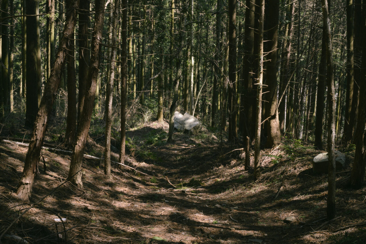 露岩を目指して歩く