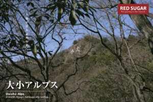 大小山を見上げる