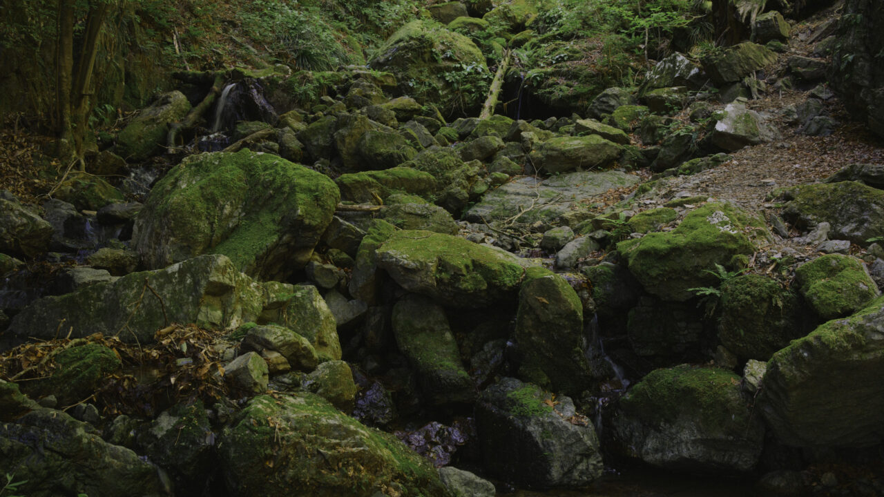 白谷沢に積み重なるコケ岩