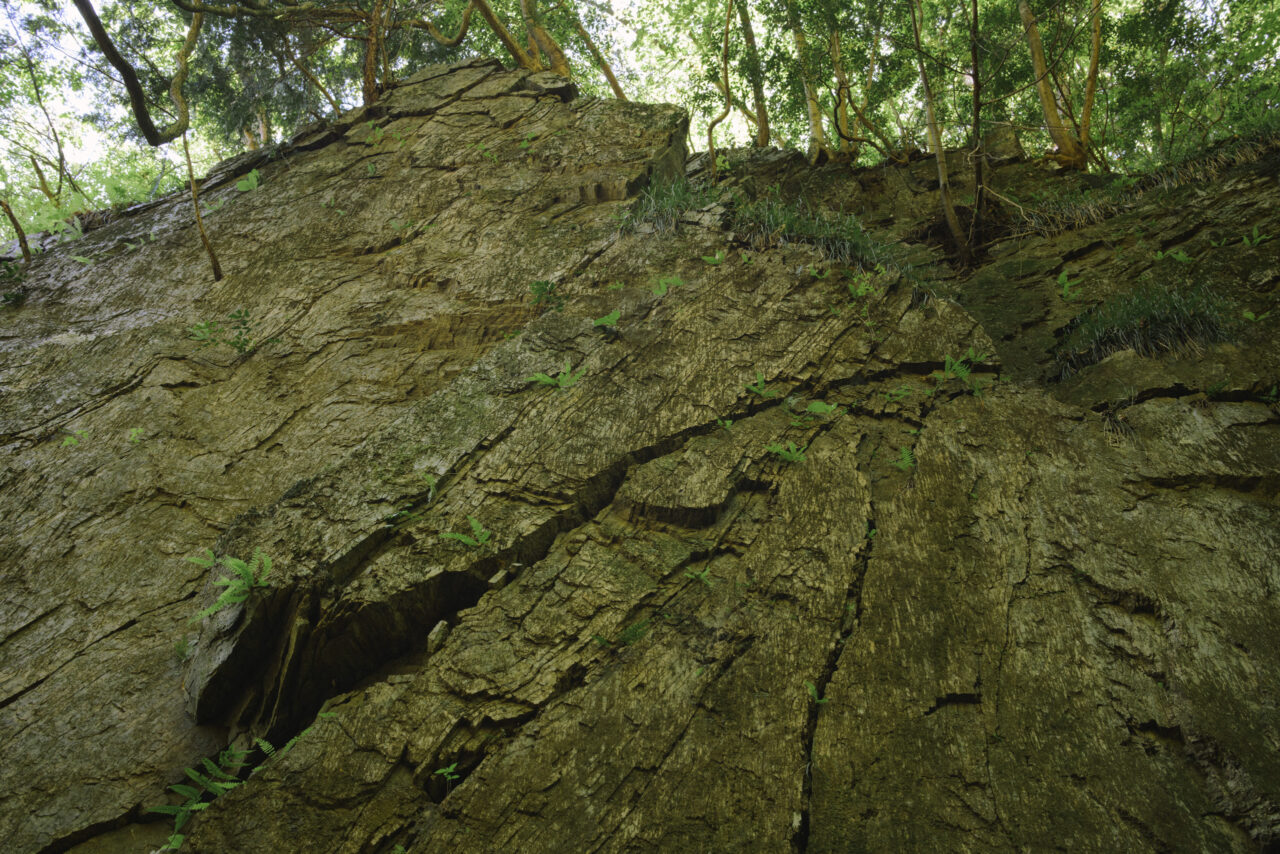 複雑な模様を刻んだ岩肌