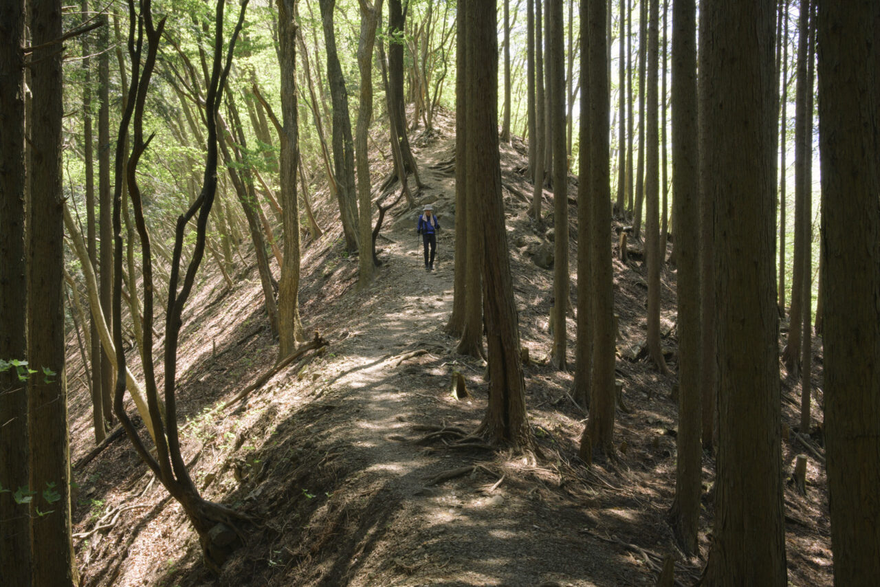 人通りまばらな登山道