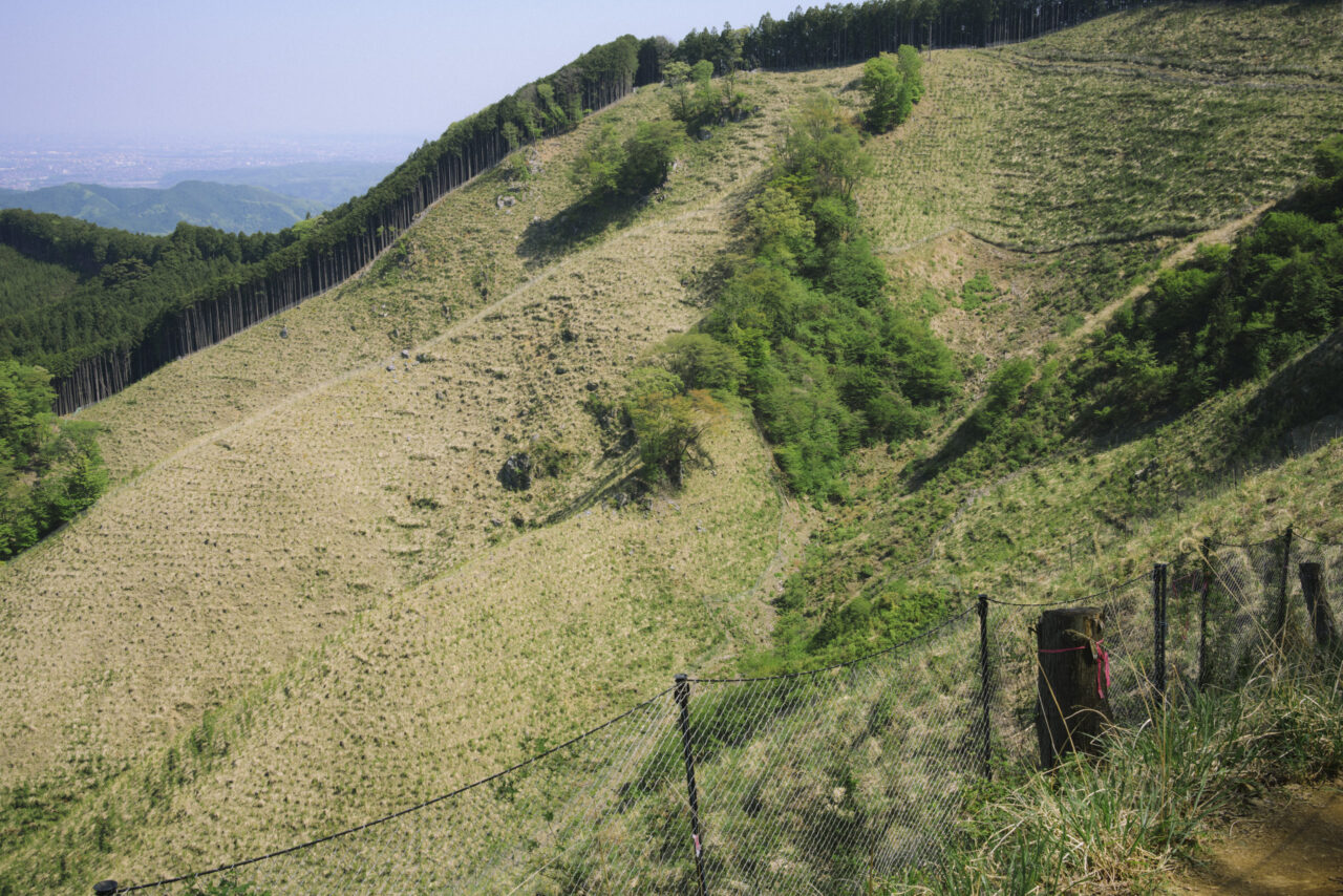 伐採後の山肌