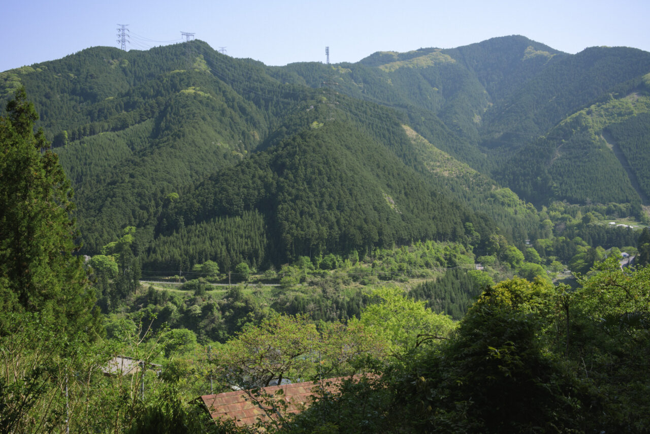 梅の木峠方面の山々