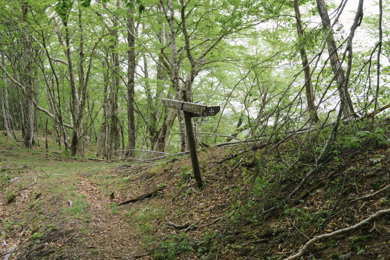 天目山山頂分岐