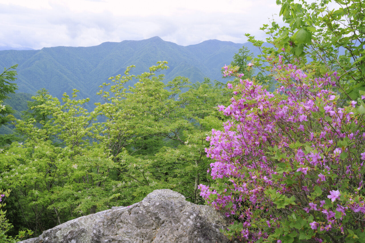 天目山山頂から眺める鷹ノ巣山