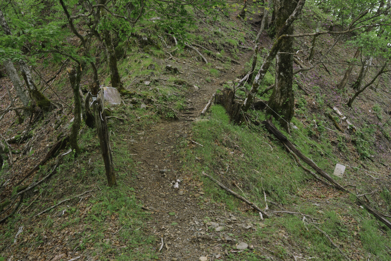 蕎麦粒山登山道