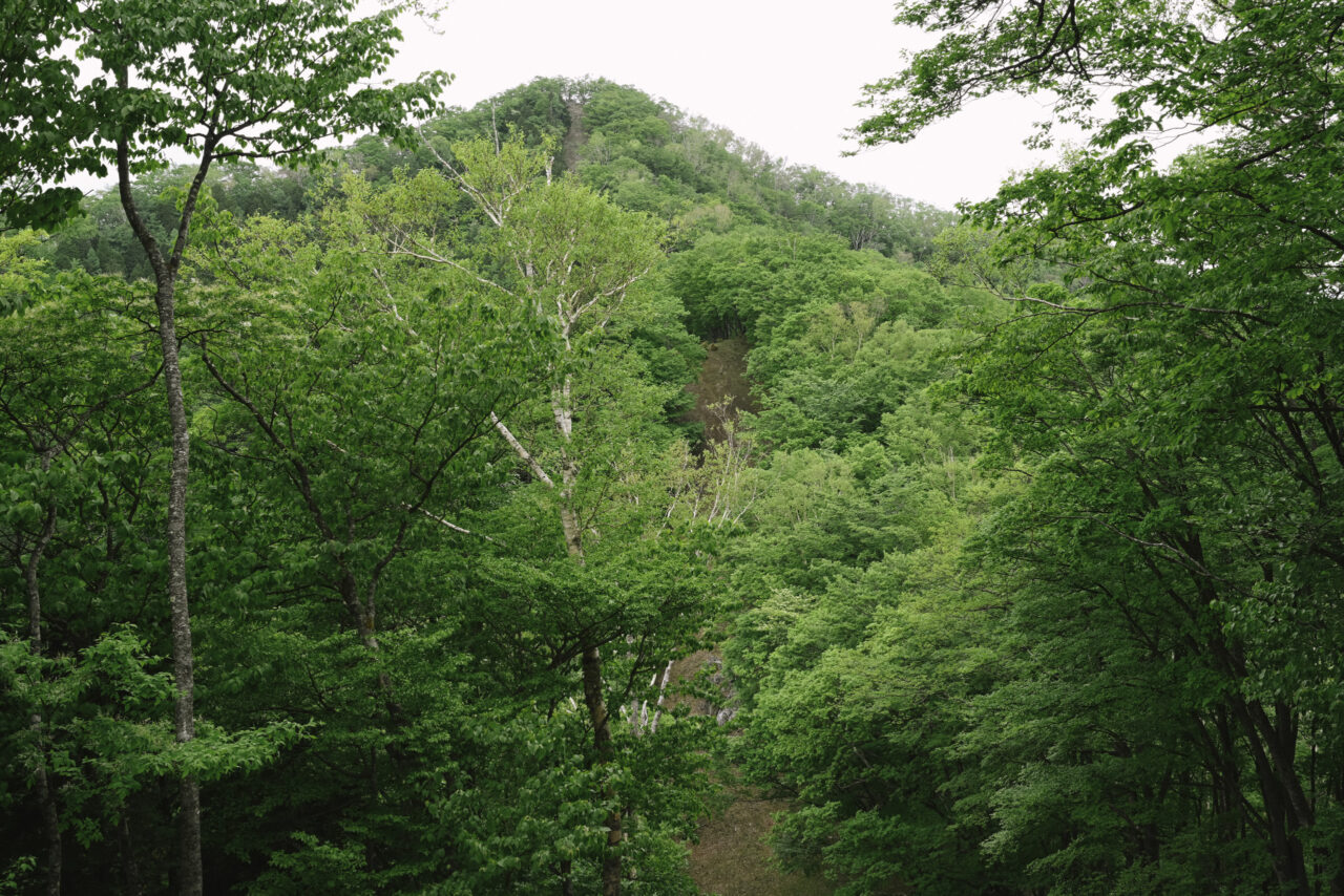 川苔山方面から見る蕎麦粒山