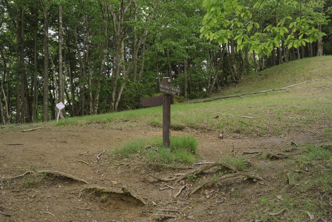 日向沢ノ峰分岐