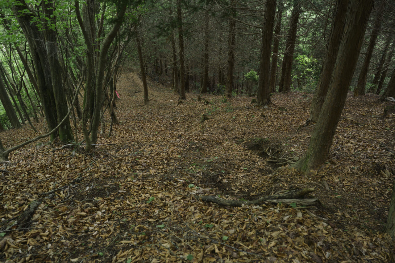 棒ノ嶺方面へ下る道