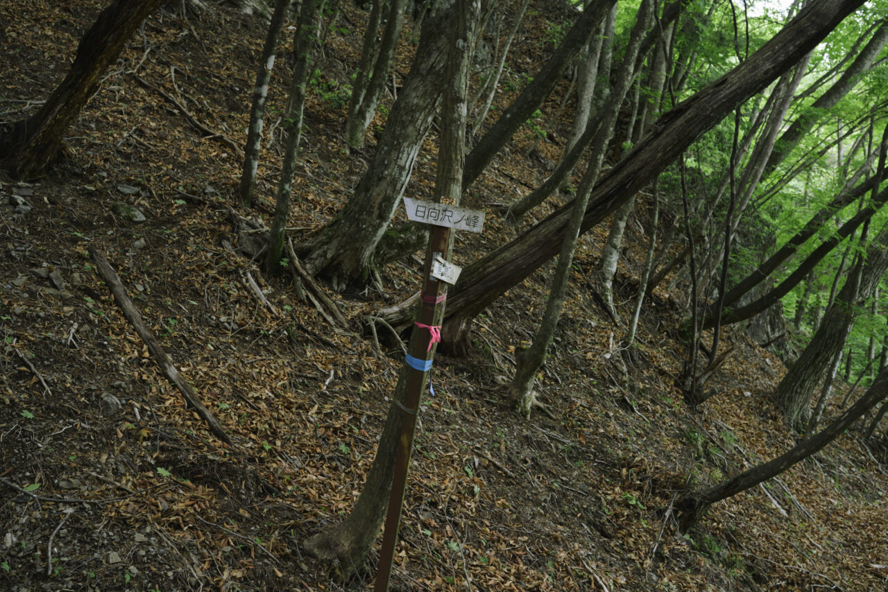 有間峠への分岐