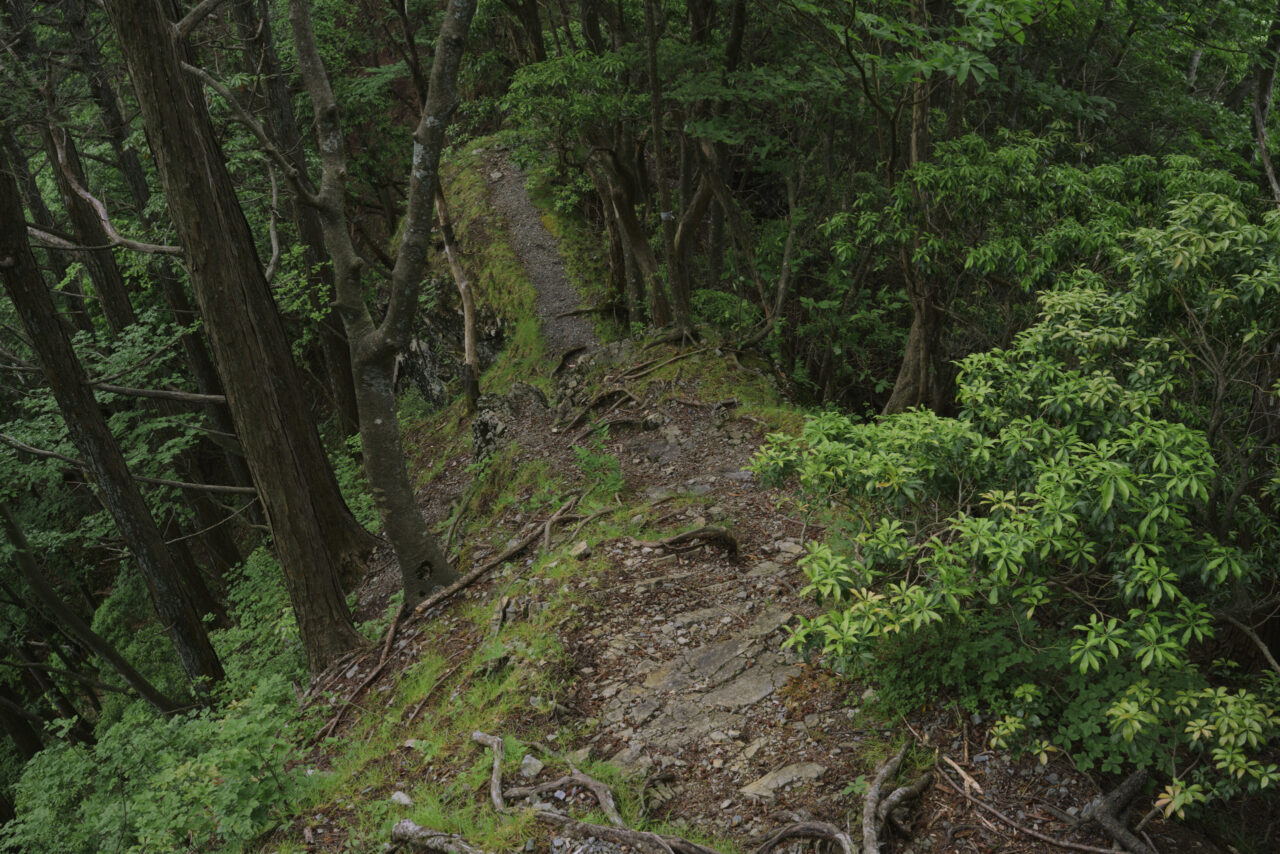 か細い痩せ尾根