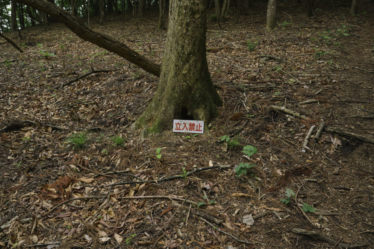 根元の穴に添えられた立ち入り禁止の看板
