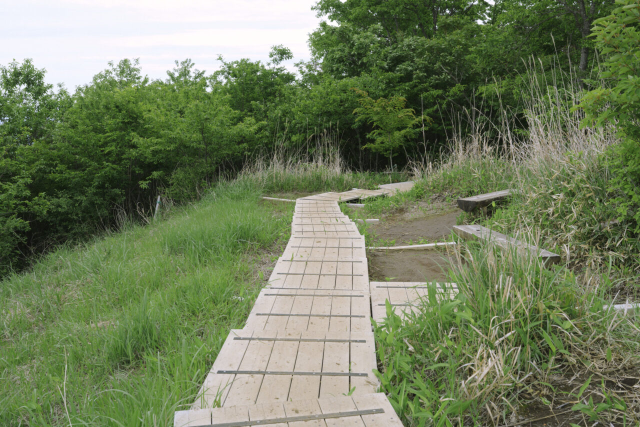 山頂の木道をたどる