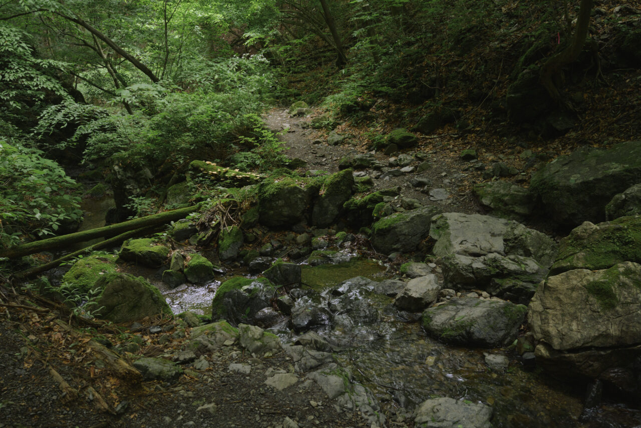 白谷沢登山道