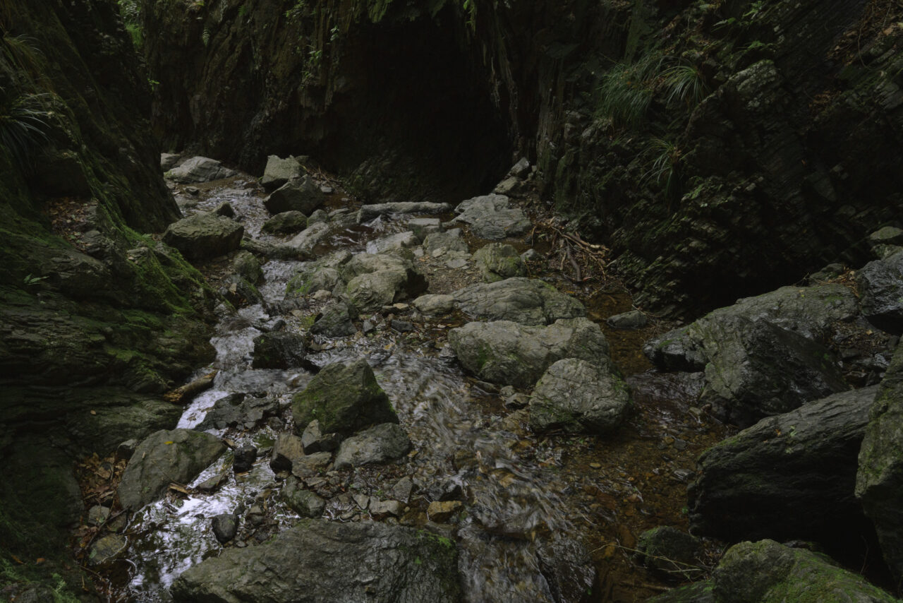水の中を下る白谷沢