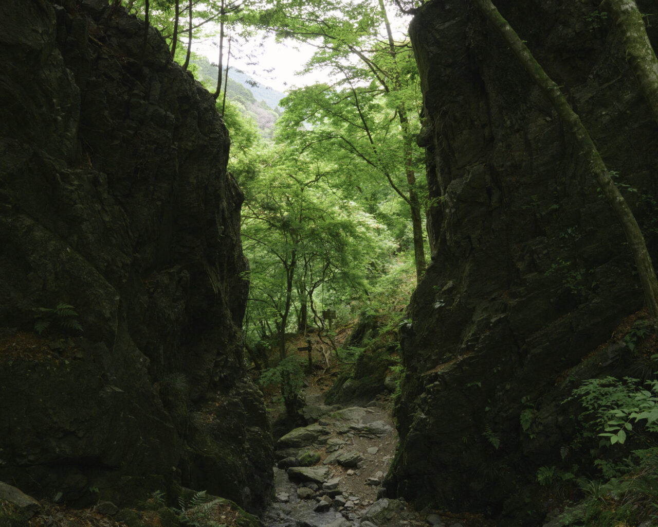 そり立岩壁の間を歩く