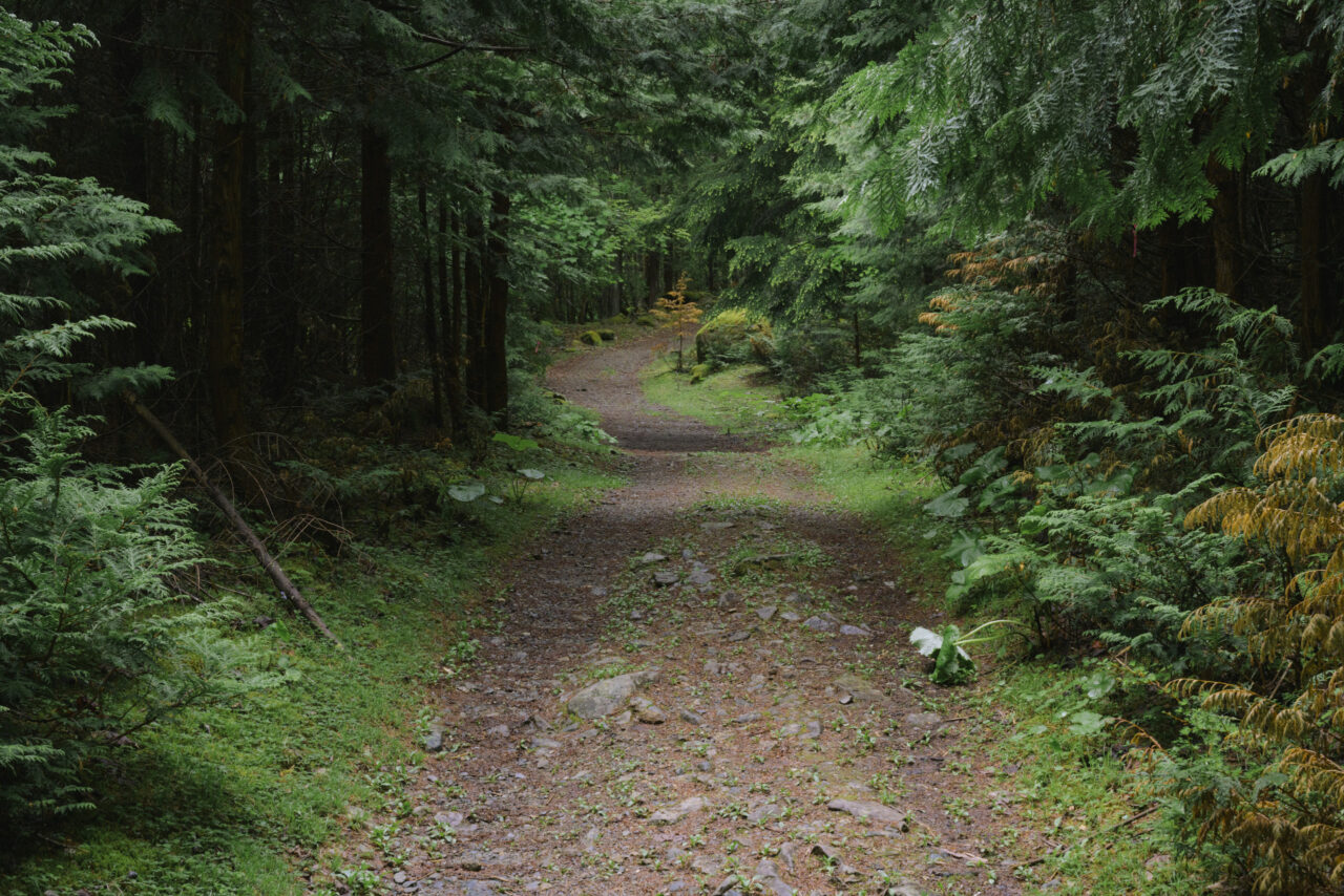 車道サイズの登山道