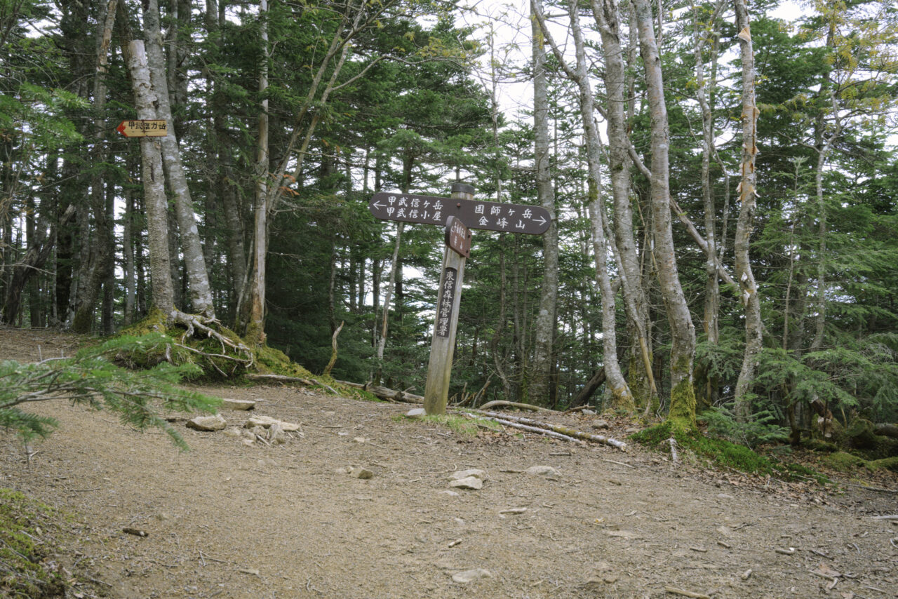 甲武信ヶ岳分岐