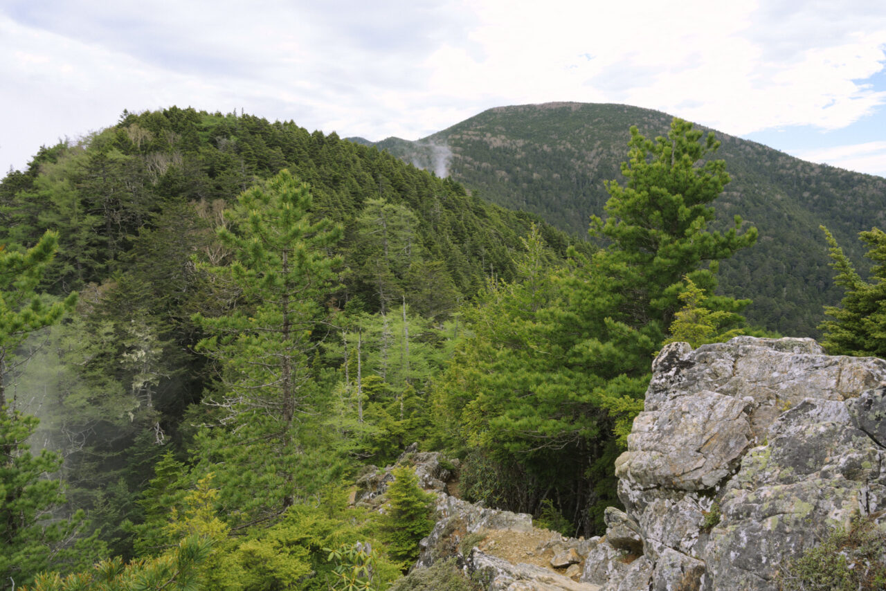 三宝山方面の山肌を見る
