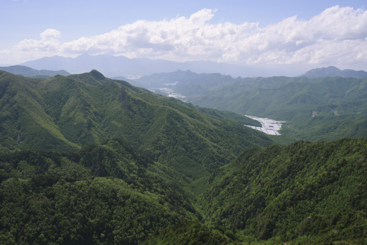 レタス畑が輝く川上村