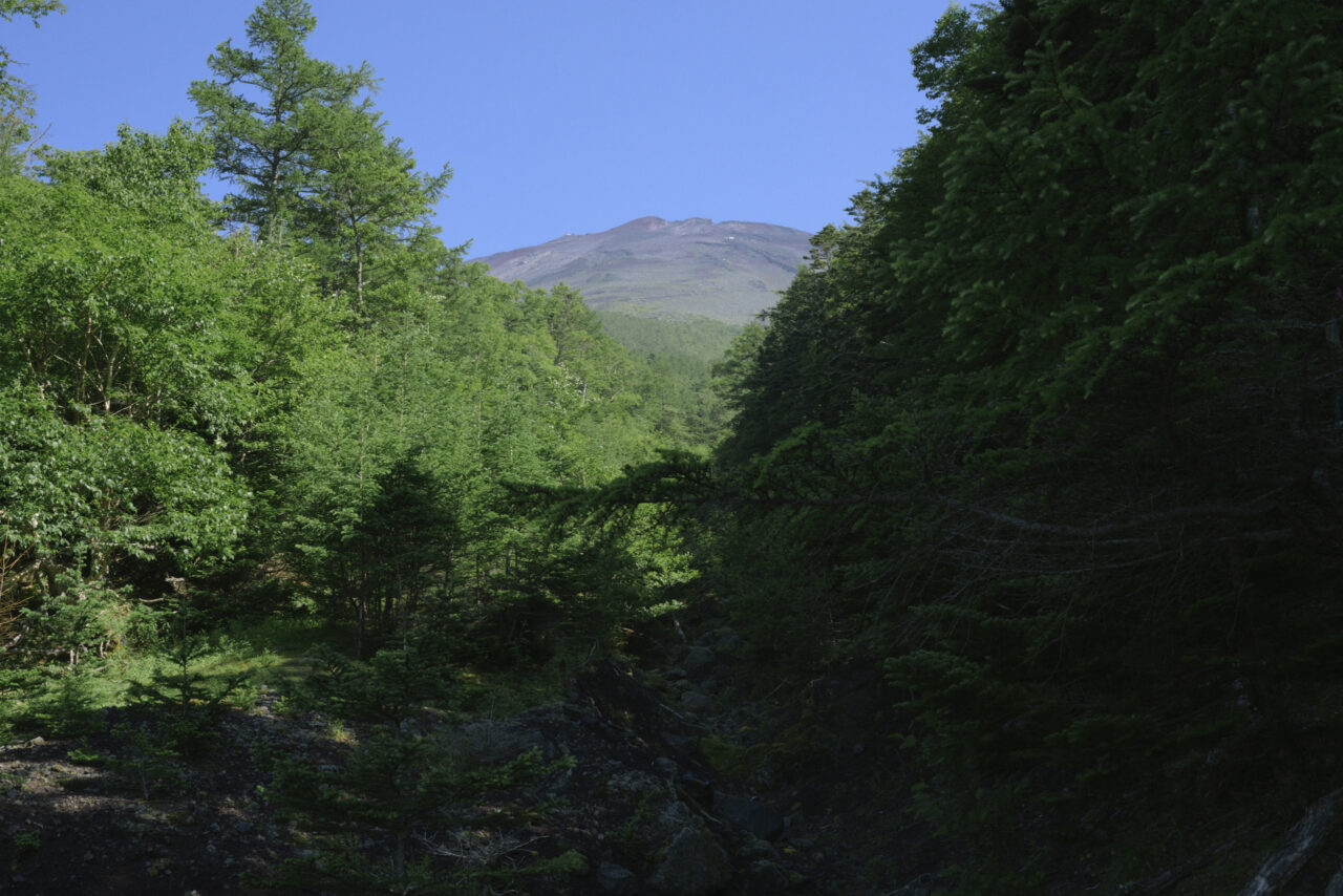 五合目付近から見る富士山頂