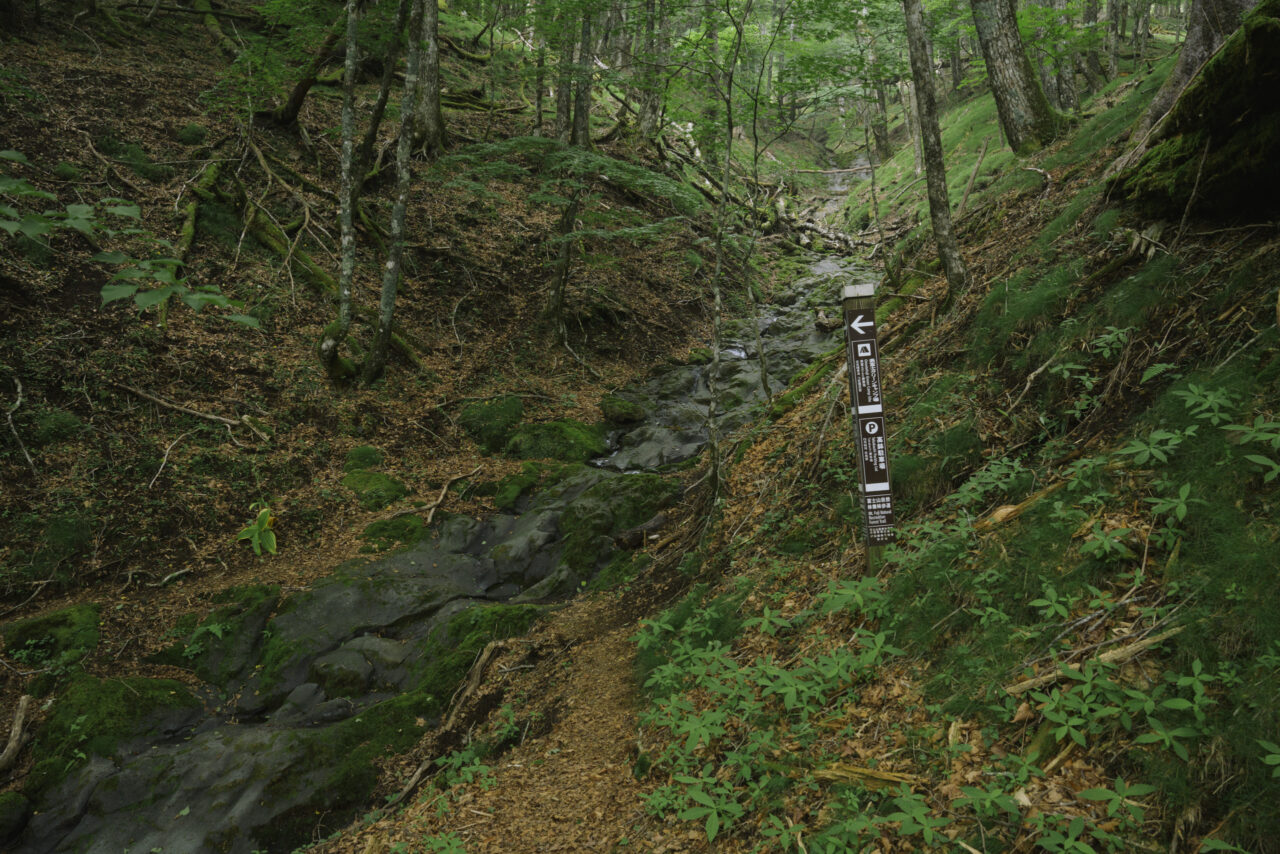 人気の少ない山中に立つ案内板