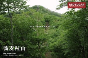 蕎麦粒山山頂方面の景色