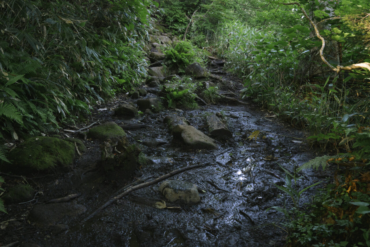 御池登山口周辺の泥道