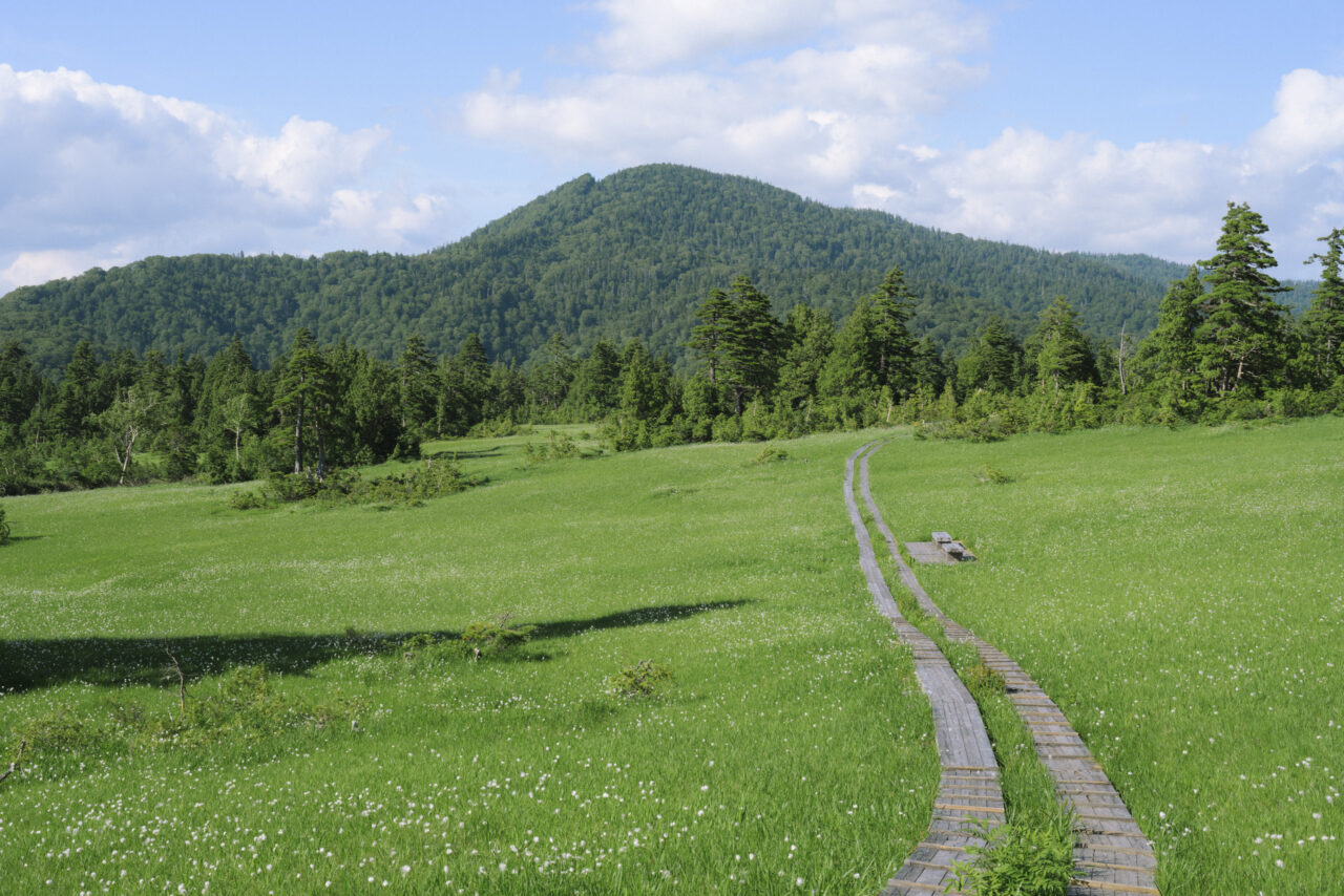 上田代から見る尾瀬の山々