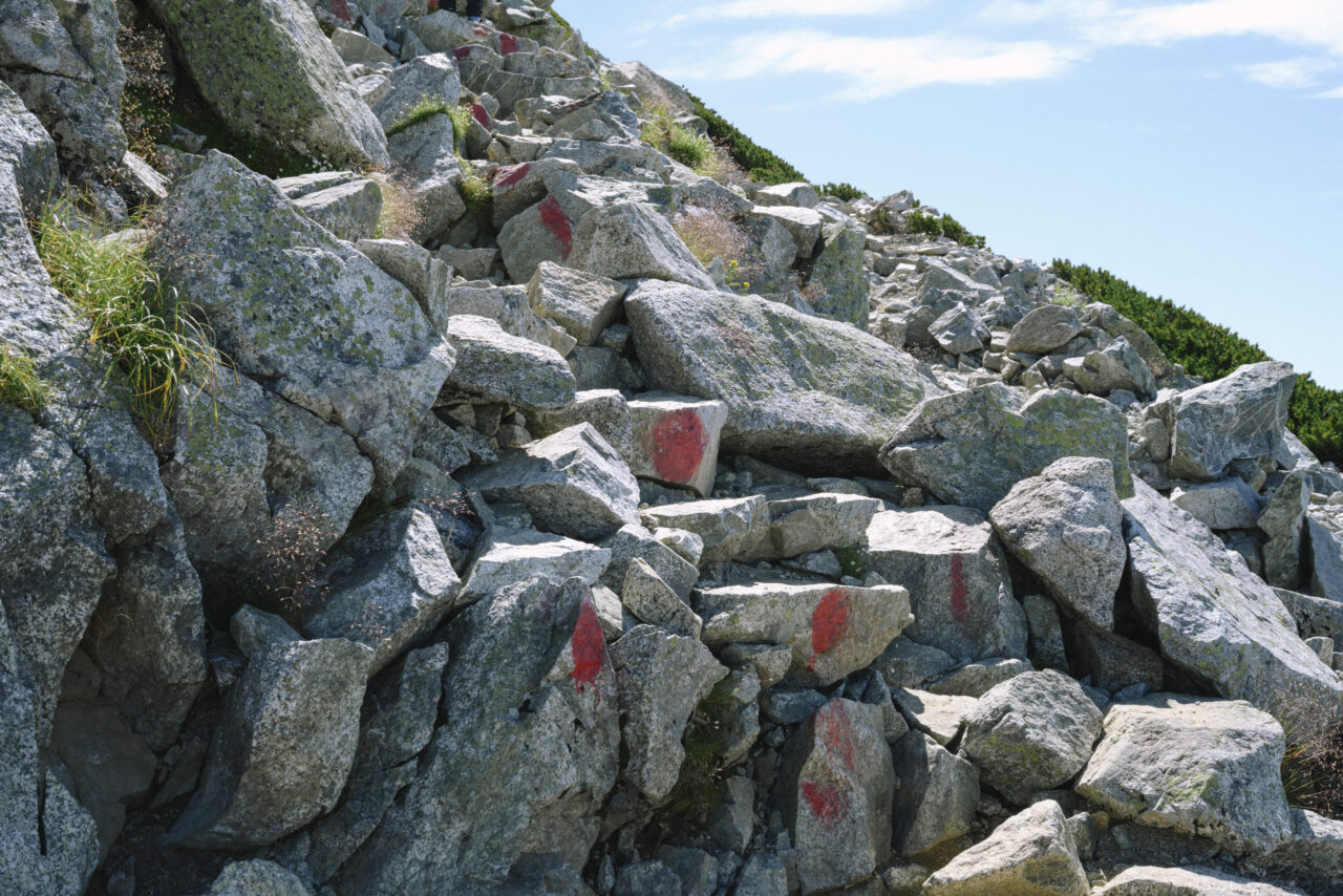 ペンキが塗られた登山道