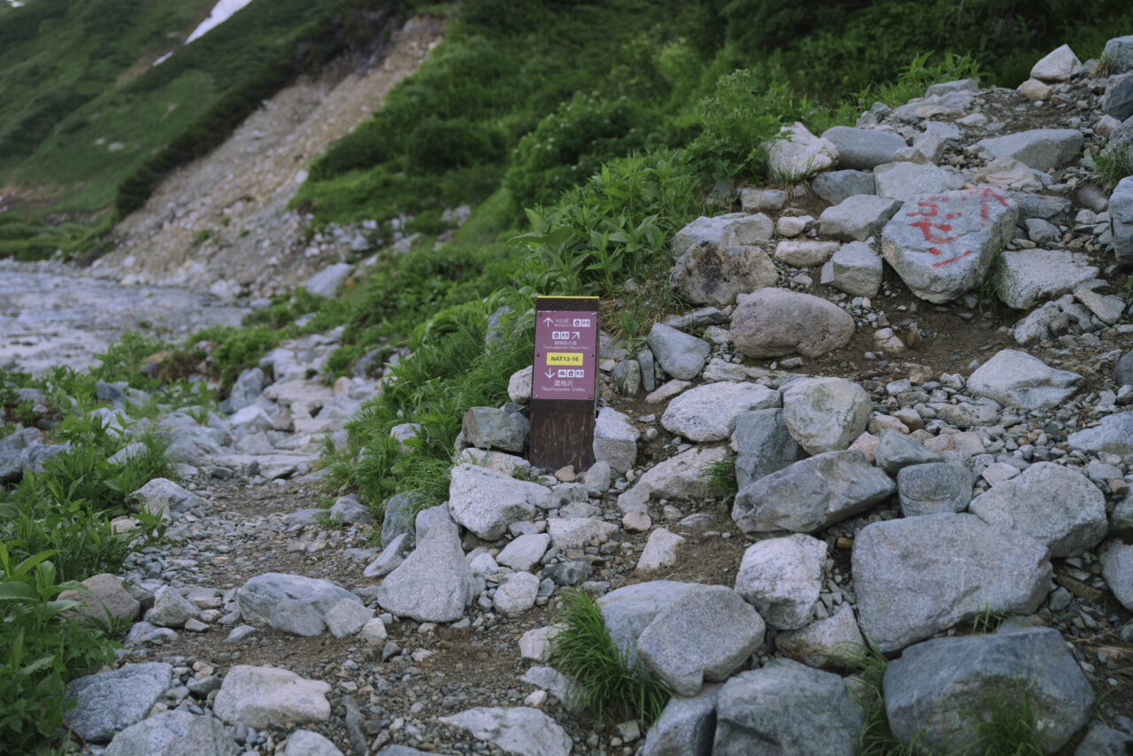 雷鳥平分岐