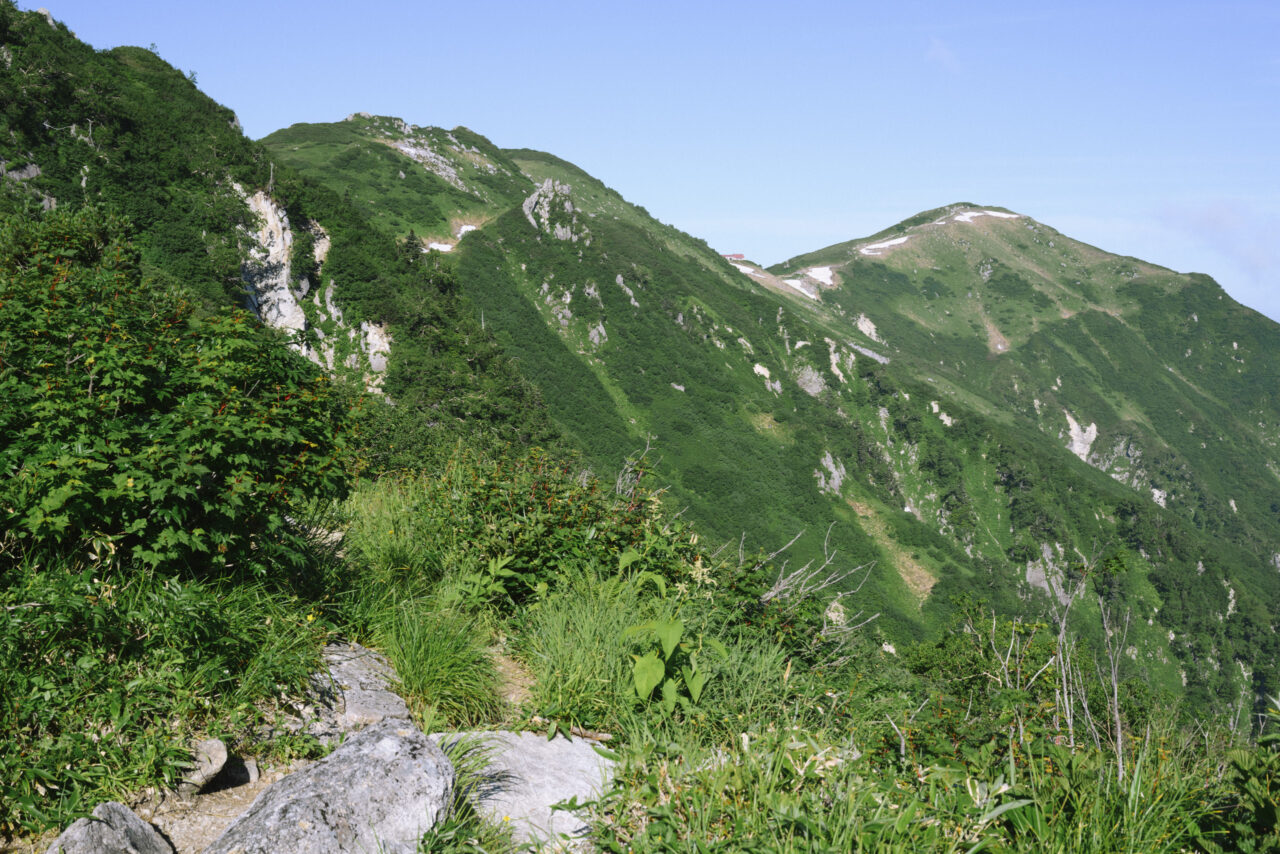 仰ぎ見る大日岳