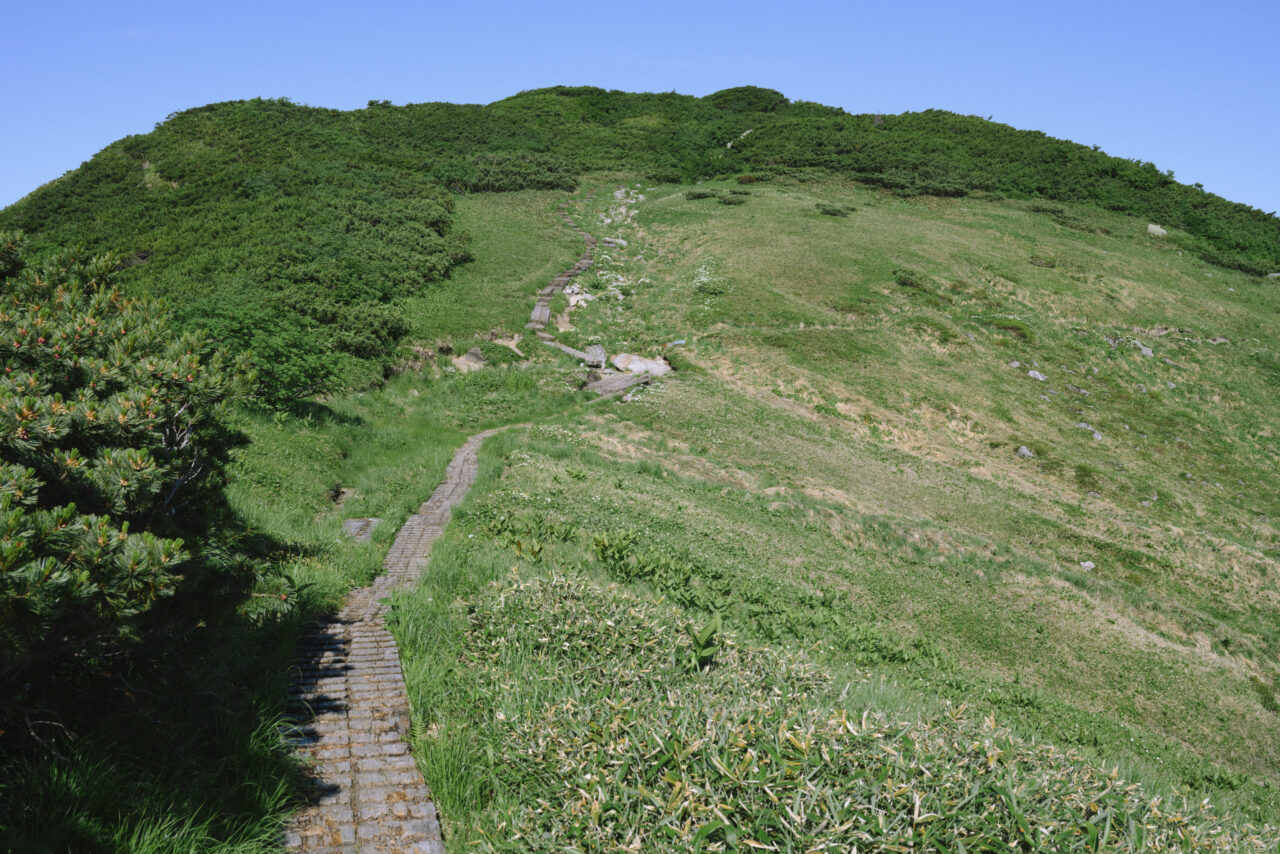 木道を歩き大日岳へ向かう