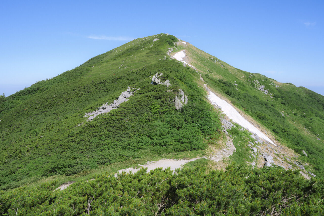 大日岳への登り
