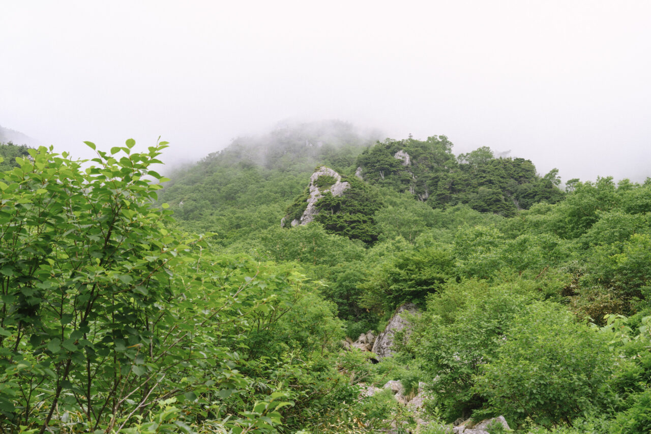 ガスに包まれる山