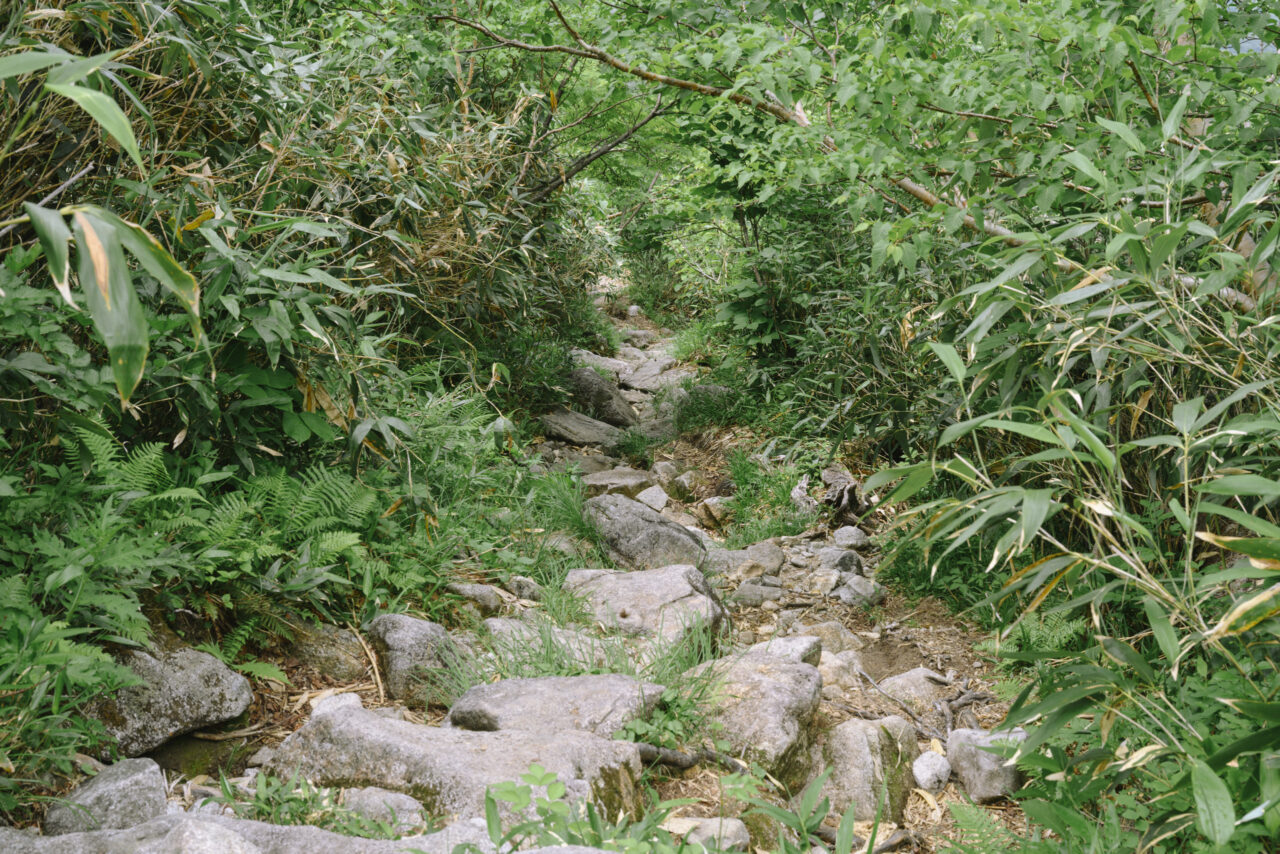 岩が積み重なる大日平登山道