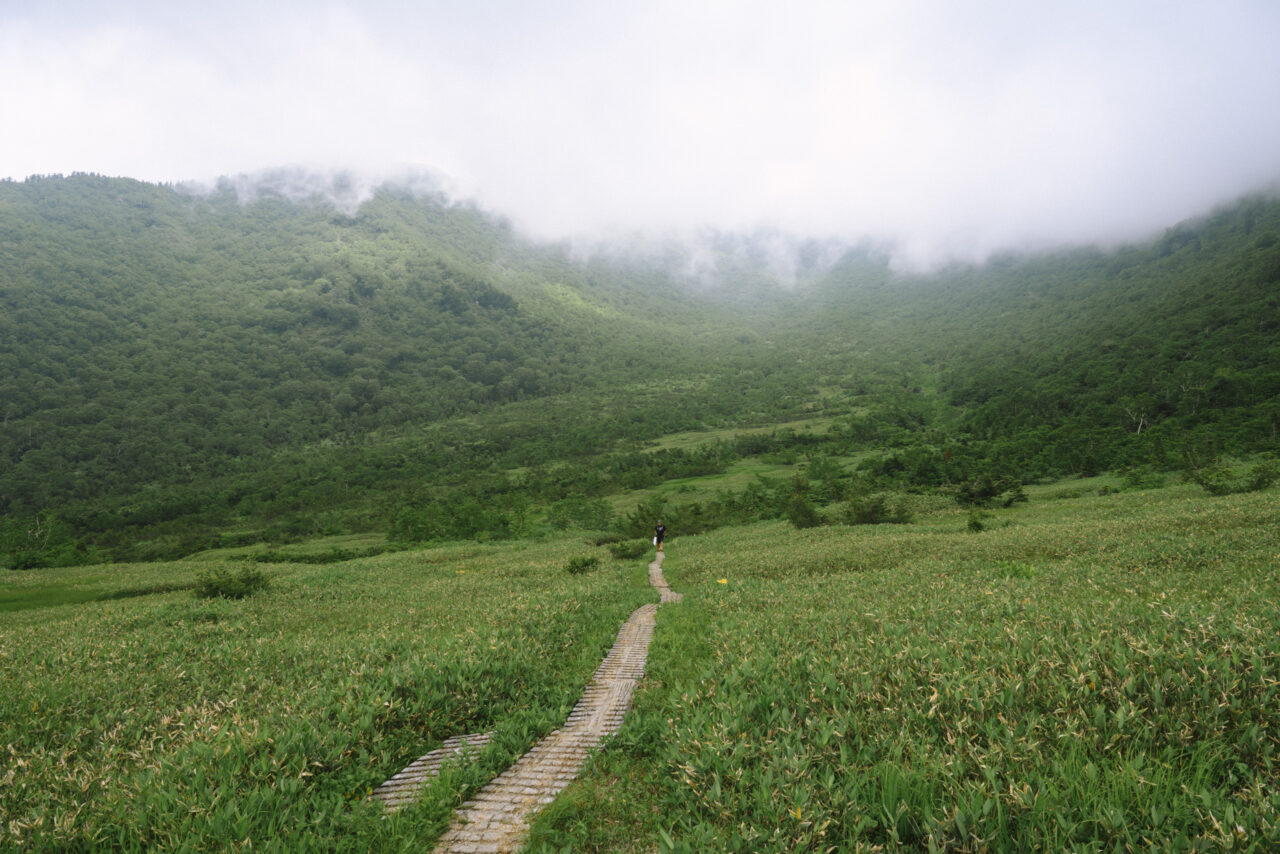 大日平の木道を歩く登山者