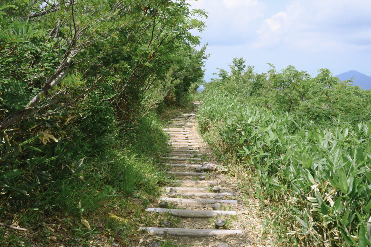 大日平に通された木道