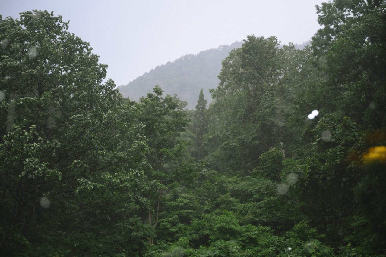 積乱雲がもたらす大雨