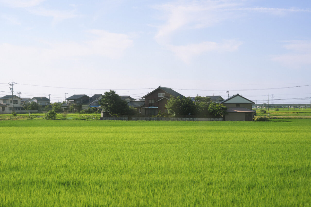 のどかな田んぼが広がる富山の景色