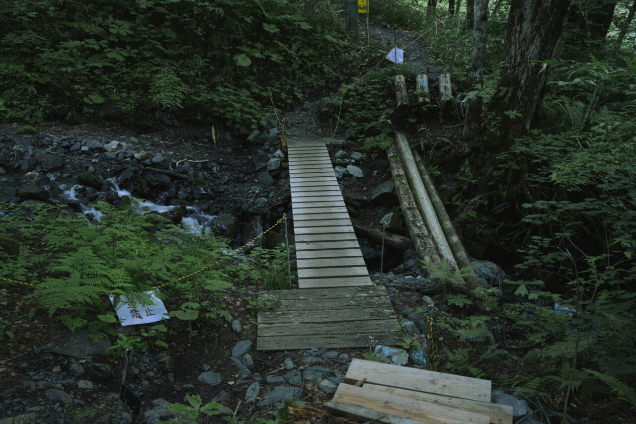 山を削る小川にかけられた木橋