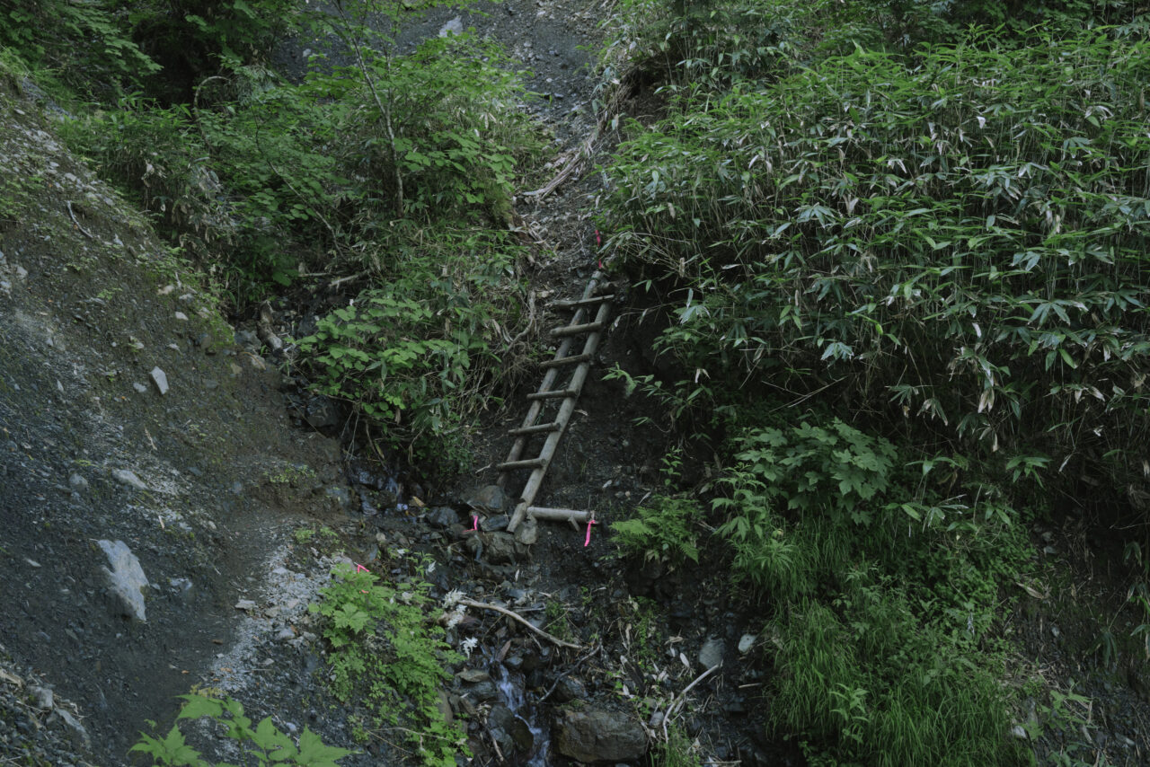 登山道に括りつけられたはしご
