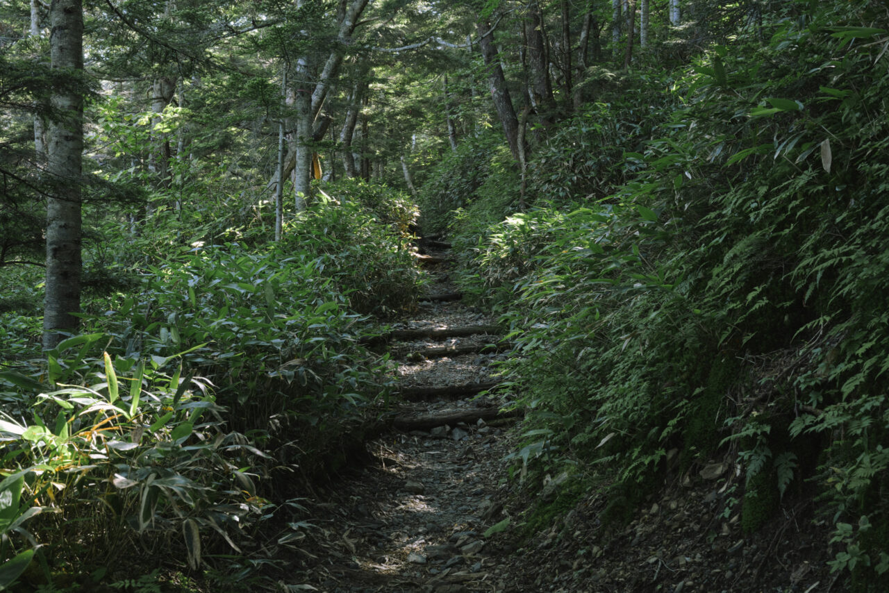 徳本峠へと続く階段